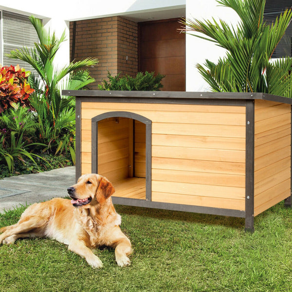 6nzcUFGDuJzPj5X4g3afI1