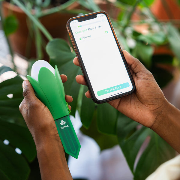 bZC8MjSGOoWf5Ofm9YIc3