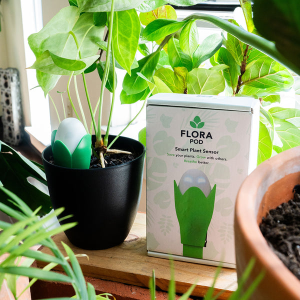 nKBmzeGslcGo1nez3lmqC