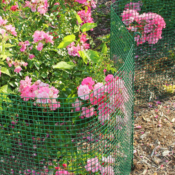 4AJjuBWOApWKxczOFKn6zj