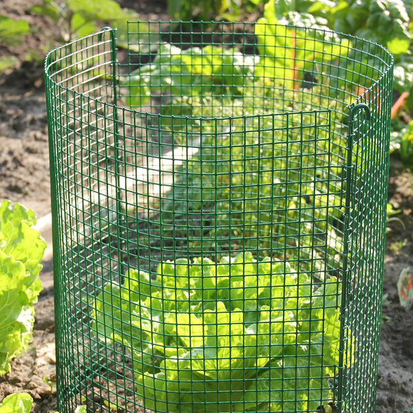 2VWOE0UOY7kDia3NCEXDCV