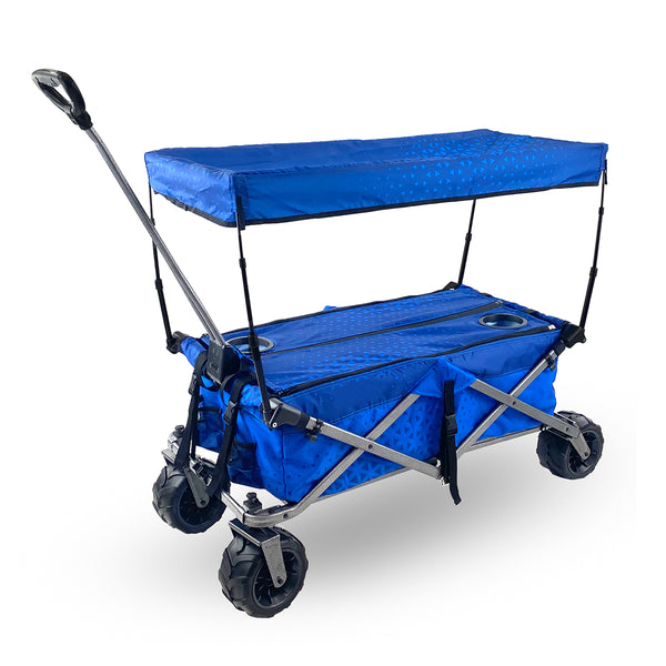 3RGpueQFnhWgicEnvlid71