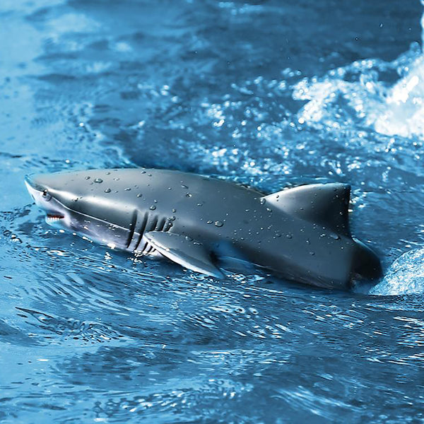 2JfcIOcWZSCKVFp99MN12a