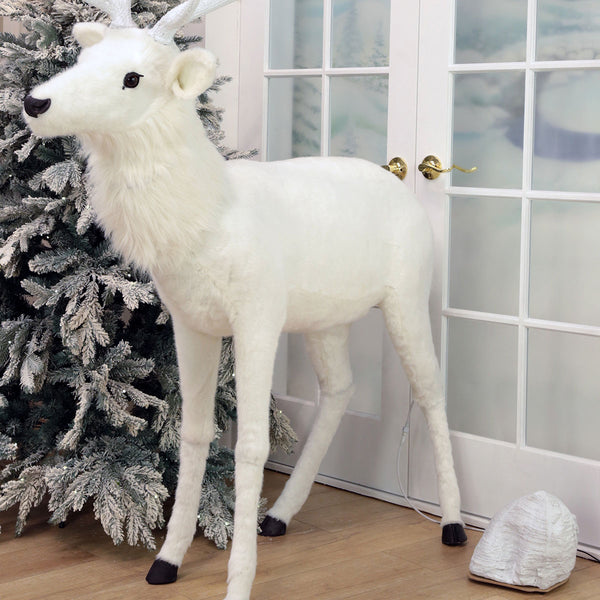 2H9qNx41cufskkaNGCUaWo