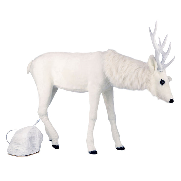 2BO5onekWpXtaLP723a4ZU