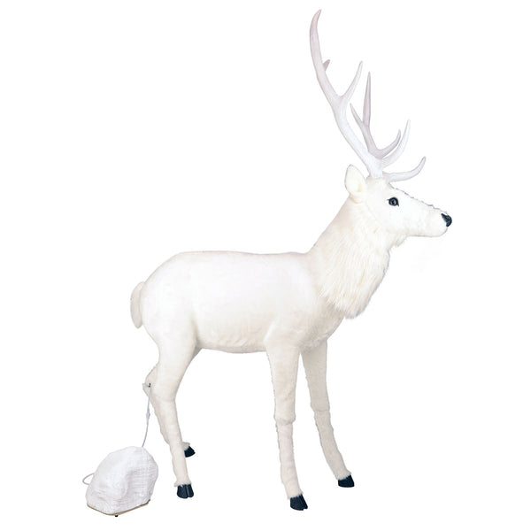 JwJwADHqZkIx55plBlCp5