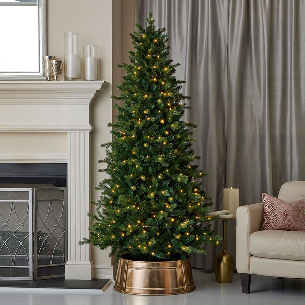 6' Palmetto Pine Christmas Tree