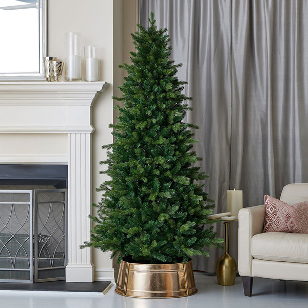 6' Palmetto Pine Christmas Tree