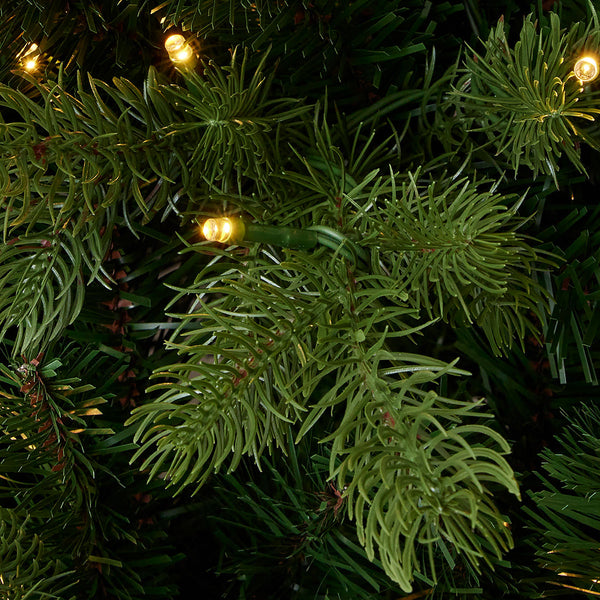 6' Palmetto Pine Christmas Tree