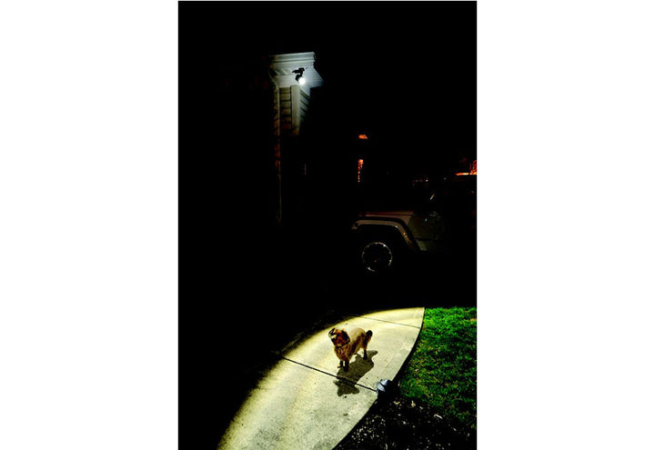 1lVORcz8JDnVuy9KUp2tnP