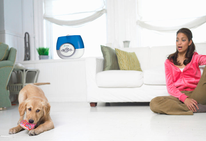 5adPsdKPbiYJqi6Ai1bPaR