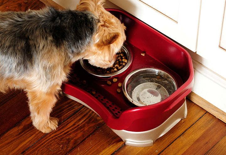 76fE4T8wreCeRvMKqXrvz6