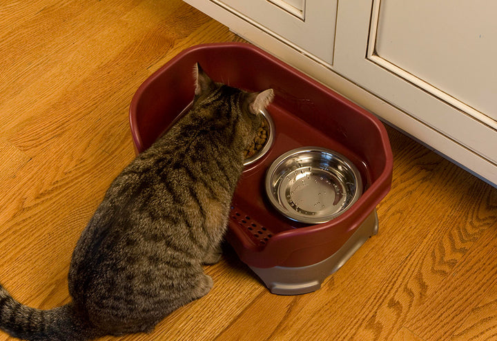 6yUueLQMSwLWyOcOSbQDmV