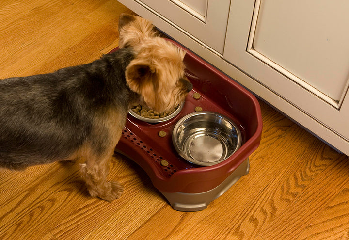 2RiUyGeDONJUcju7iJxgrL