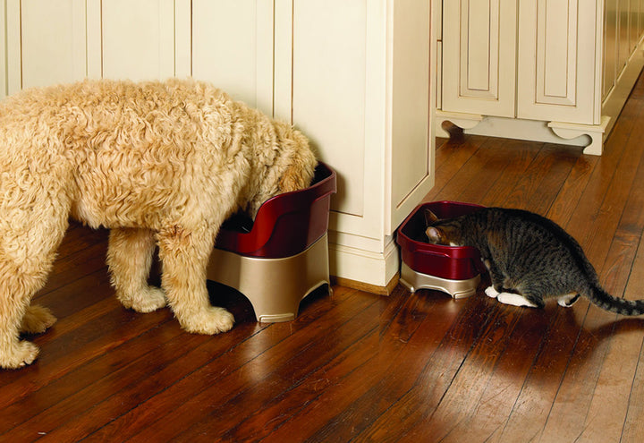 1YtYiknCtibfbHeAnKJXMn