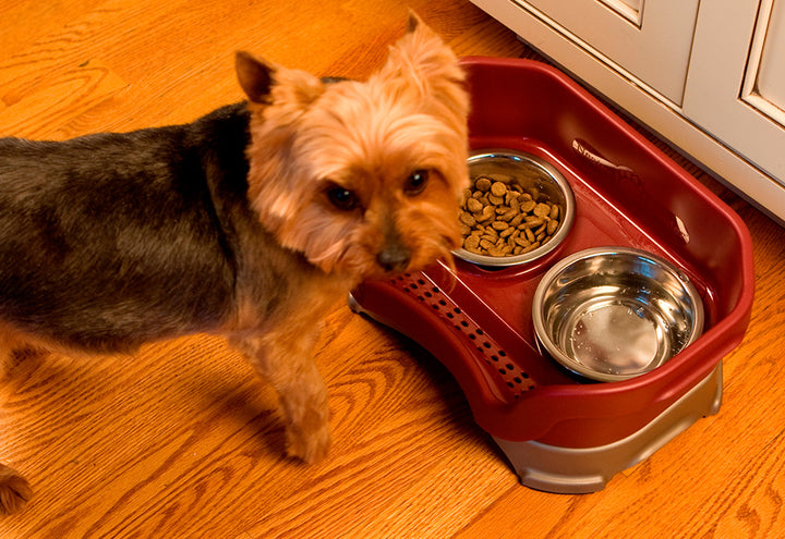 67bqmn0TiwWTweP7MYal9C