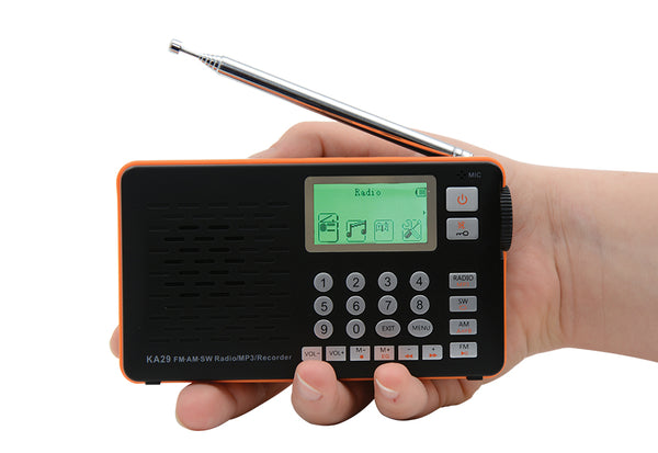 203725-z1_grande.jpg?v=1755888101