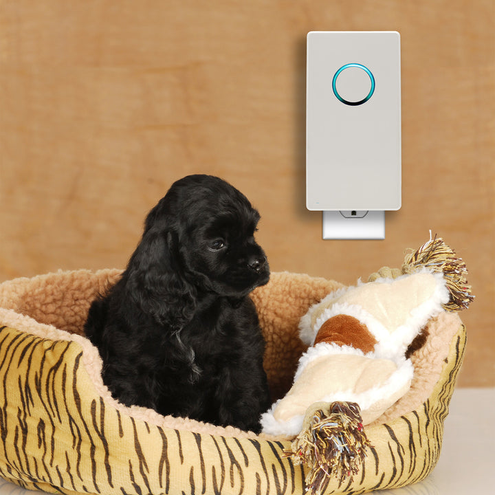 3pcfo89ZZf82Wk2YDs9Zsb