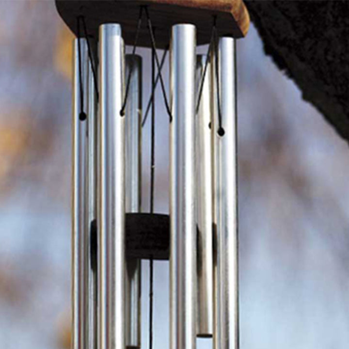 2ADzdc1ilFYjbrKSCTXkKJ