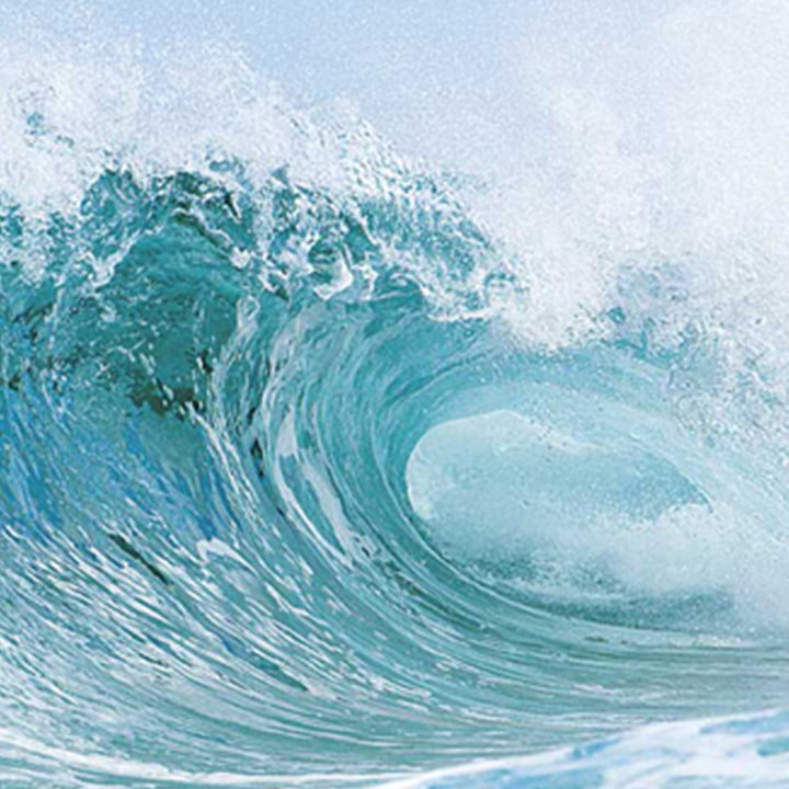 4mSBlN1tJaCgZYEpRm16rk