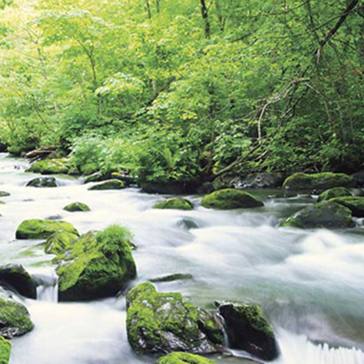 6M4SGTSxhxkCGk9WIo2PWj