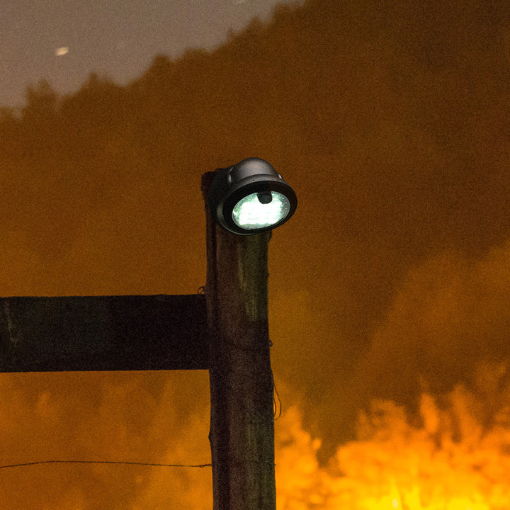 64Tm1DdiIZEAIeAZlGEc08