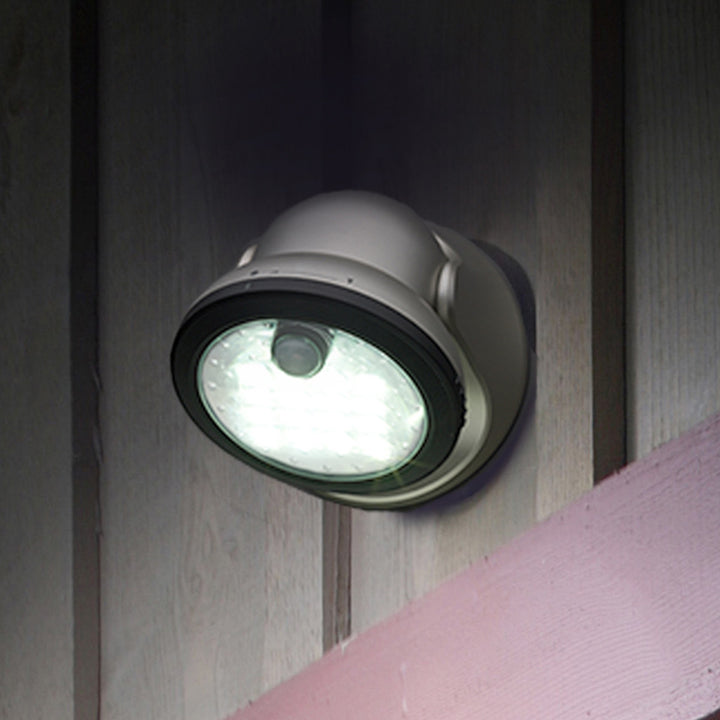 41QXqd06Jn59XuvYiUZv7Y