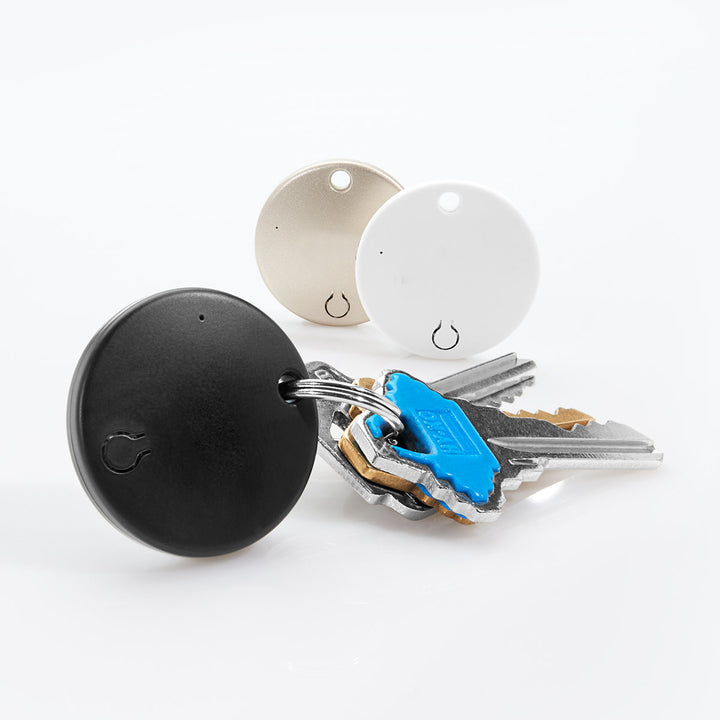 6xGnLIcKcANBTaMNCQKXWO