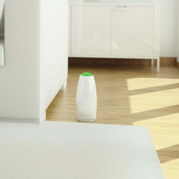 4S3c5Kg0WoApvF7g7TzYVX