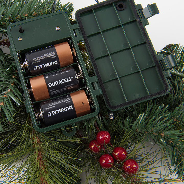 30'' Cordless Pre-Lit Indoor/Outdoor Wreath