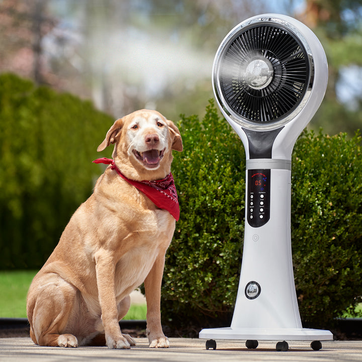 58jd13rnujVwWGRMItdOOb