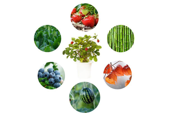 47gNh1PYY56rxYFKXxcSnt