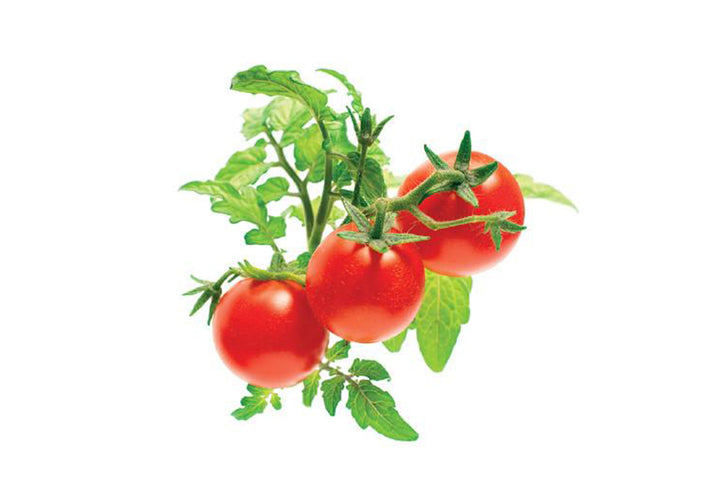 3dze1mti1rGDSZVaZvjJ8e