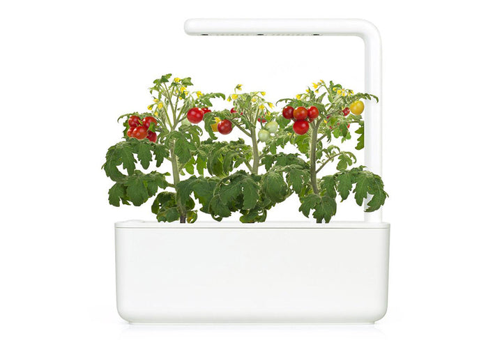 3JmlxXZZaG50BTYE2T3ypp