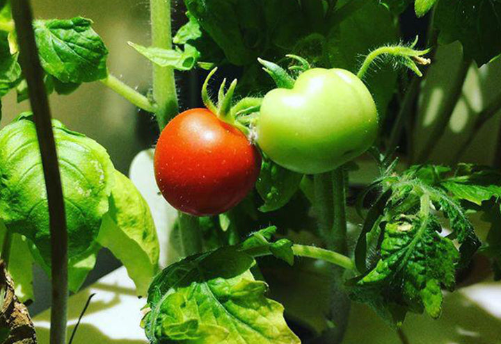 3zbtIlEuhOYGxTg75Xc4ud