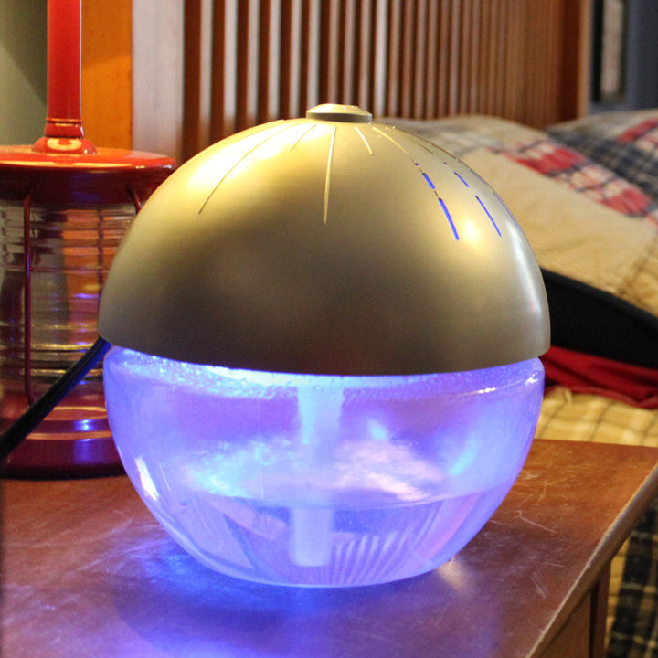 28lN6D4y5Vfd1tLBra4uYT