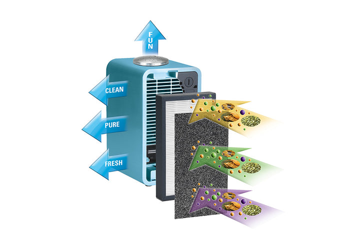 5dDh54Czzc46dc66UbTjLD