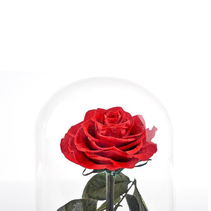 1W87OUN356jRTeQpWAZ2IZ