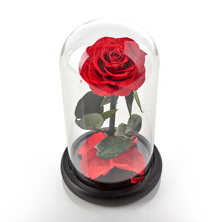 xvTe2pjyPS8uJLbR9uReB