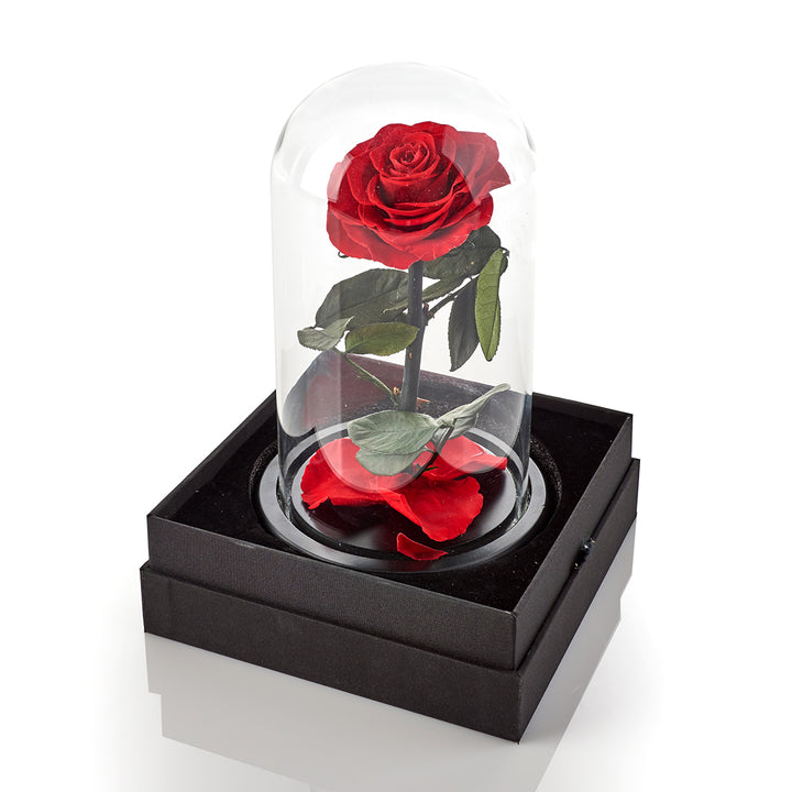 5XyKsob7x6ceN9imVpDyHN