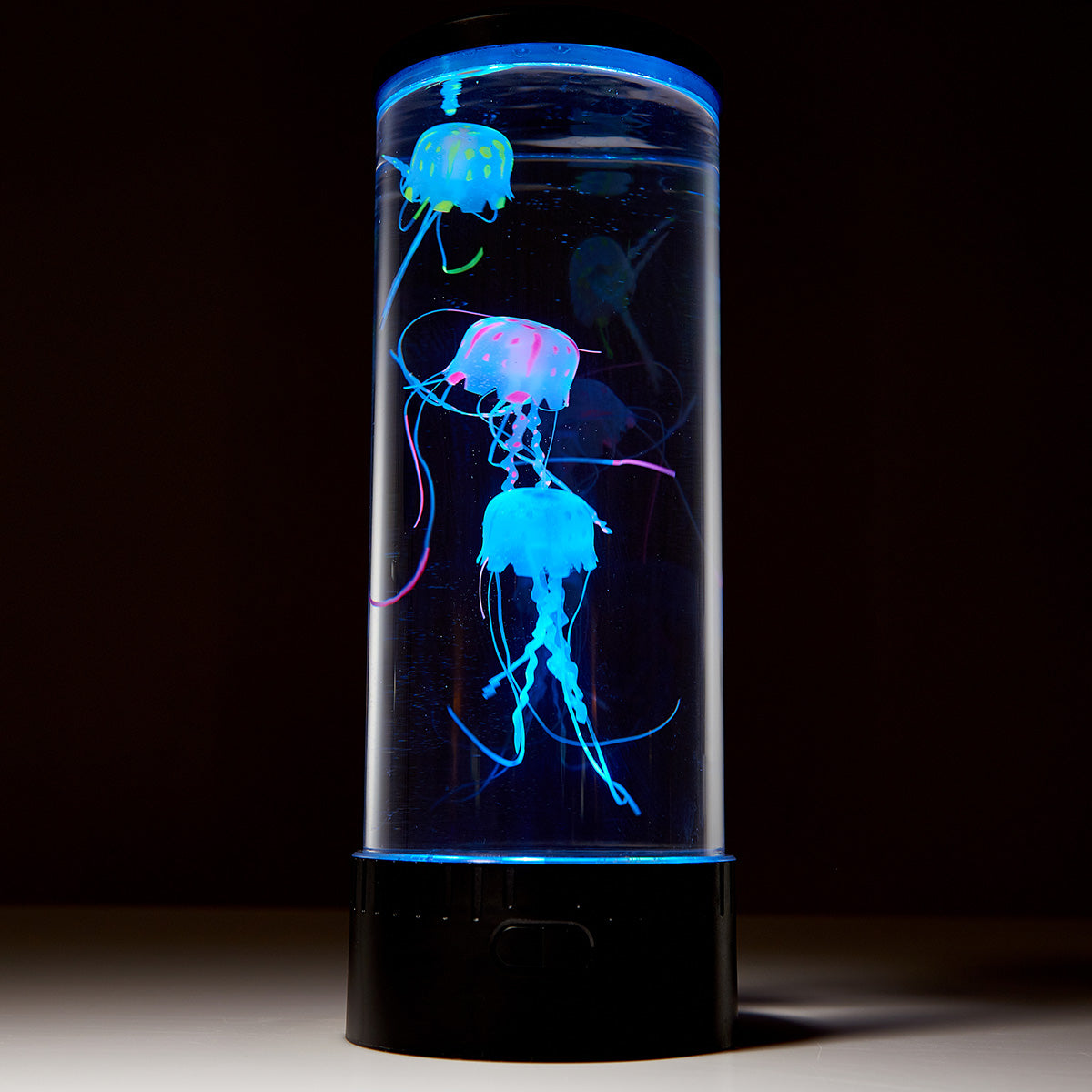 Jellyfish Aquarium | Jellyfish Fish Tank