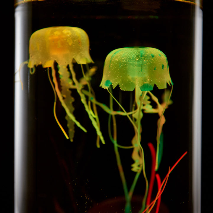 PHyEuPjSSNEWfdgL5s7UY