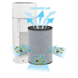 6v5MSGELp9NNGlSZGnBHDp