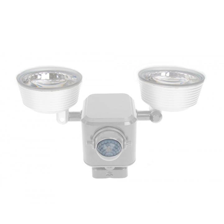 Dual LED Motion Light