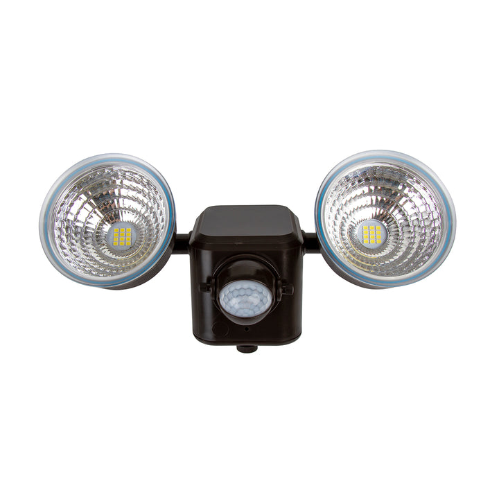 Dual LED Motion Light