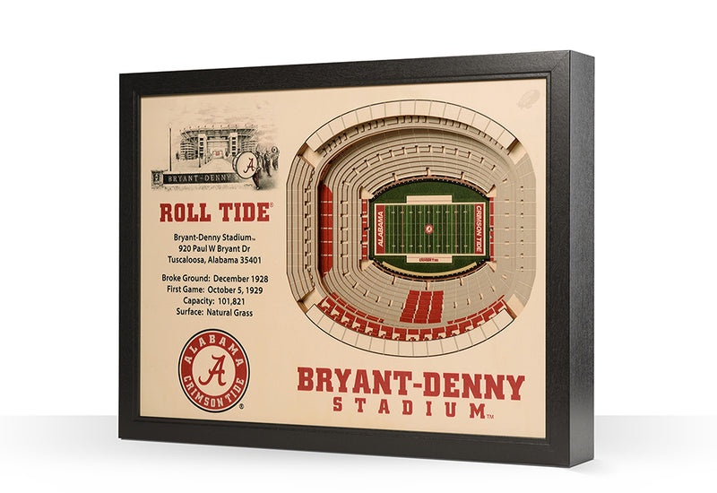 NCAA 3D Stadium Wall Art - North Carolina Tar Heels