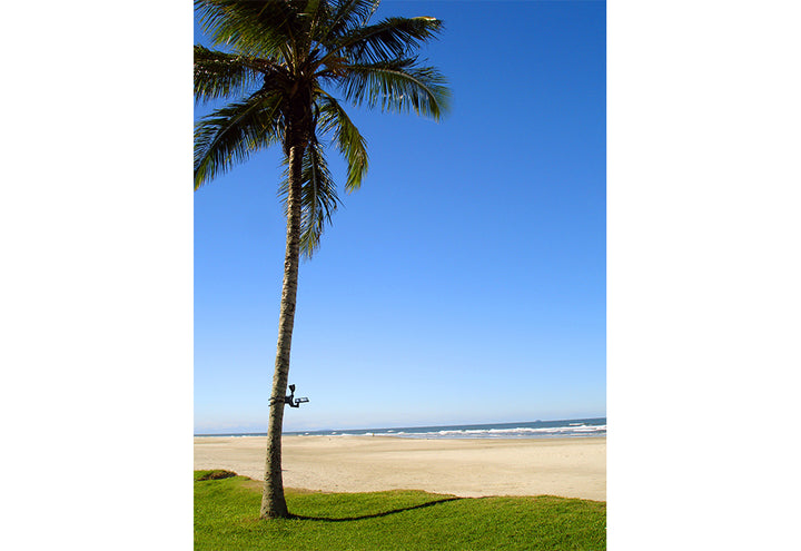 FToV7MmPdotAbx6JNV1gK