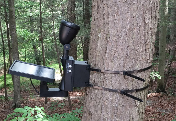 5ka7bQqSGTYhuLN7YLjR4n