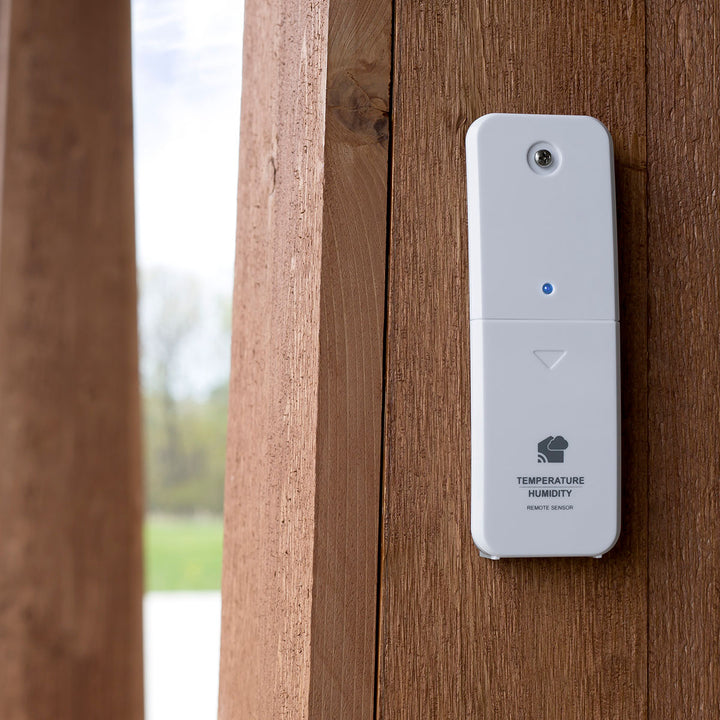 2d3JN1aVrCX8sKST33sCne