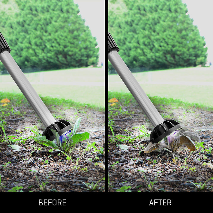 41basXkxjapajs9OMpiCXd